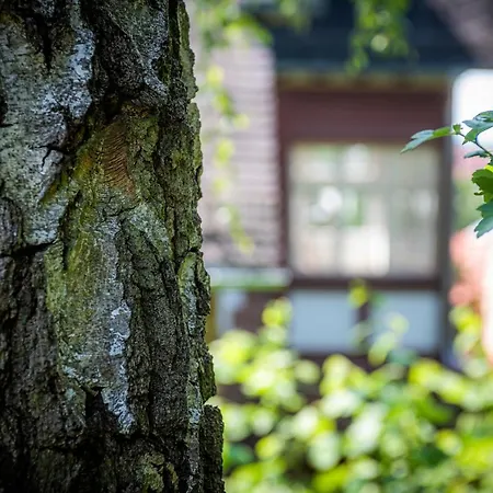 公寓 Blumeins - Refugium