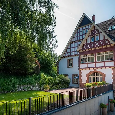 Blumeins - Refugium Gross-Umstadt