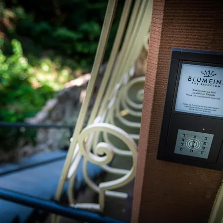 Blumeins - Refugium Groß-Umstadt